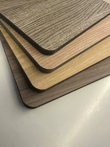 Easy Install Eco-Friendly Anti-Mold Waterproof Durable Interior Decoration Plastic Wall Panel
